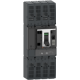 circuit breaker, ComPacT NSX800 TM-DC, 2 poles, 800 A, 50 kA at 600 VDC, without bare cable connector - C1BN2TM800D