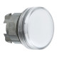 Cabeza piloto luminoso led blanco - ZB4BV013