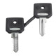 set of 2 special keys for 4 multichips keylock - ZBGK