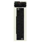 Modicon X80 - module 8 entrées / 8 sorties TOR - 24Vcc statique  BMXDDM16022